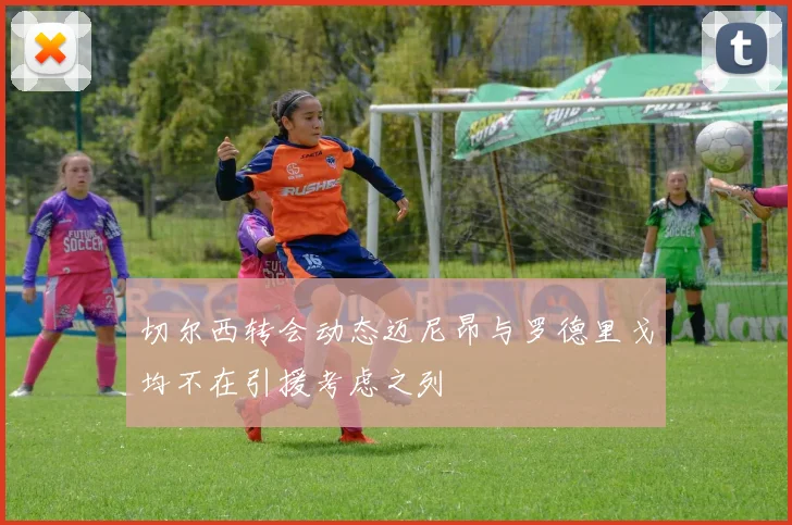 切尔西转会动态迈尼昂与罗德里戈均不在引援考虑之列