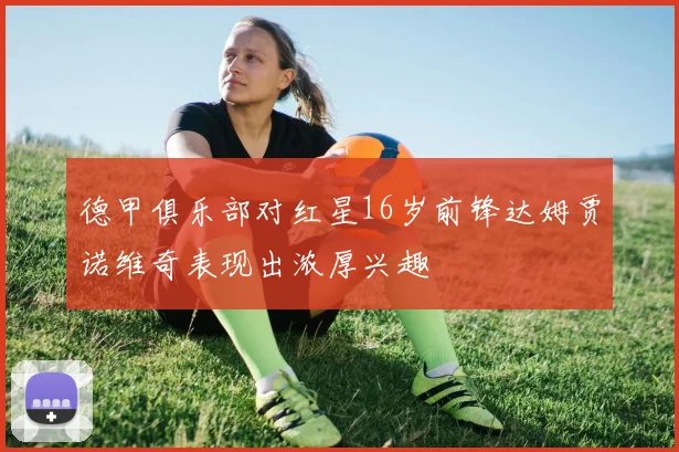 德甲俱乐部对红星16岁前锋达姆贾诺维奇表现出浓厚兴趣